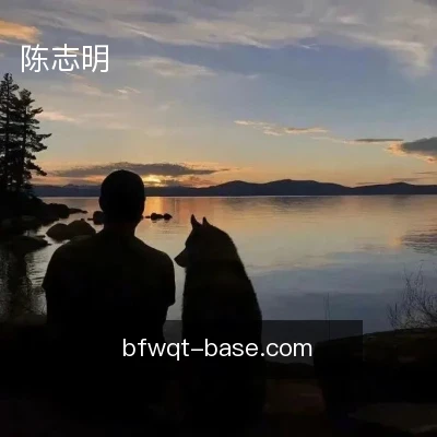陈志明